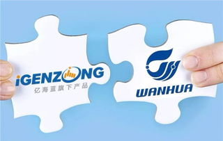 萬(wàn)華與億海藍(lán)聯(lián)手打造可視化物流，開創(chuàng)數(shù)字供應(yīng)鏈管理新篇章